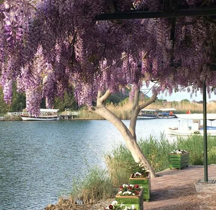 Sirius Hotel Dalyan Eksteriør billede