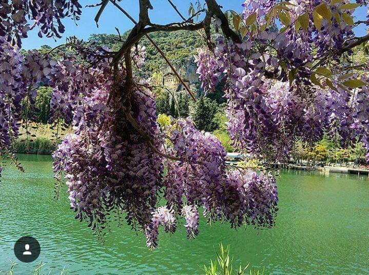 Sirius Hotel Dalyan Eksteriør billede